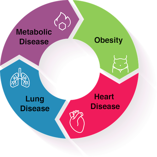 Cardio Metabolic Disease